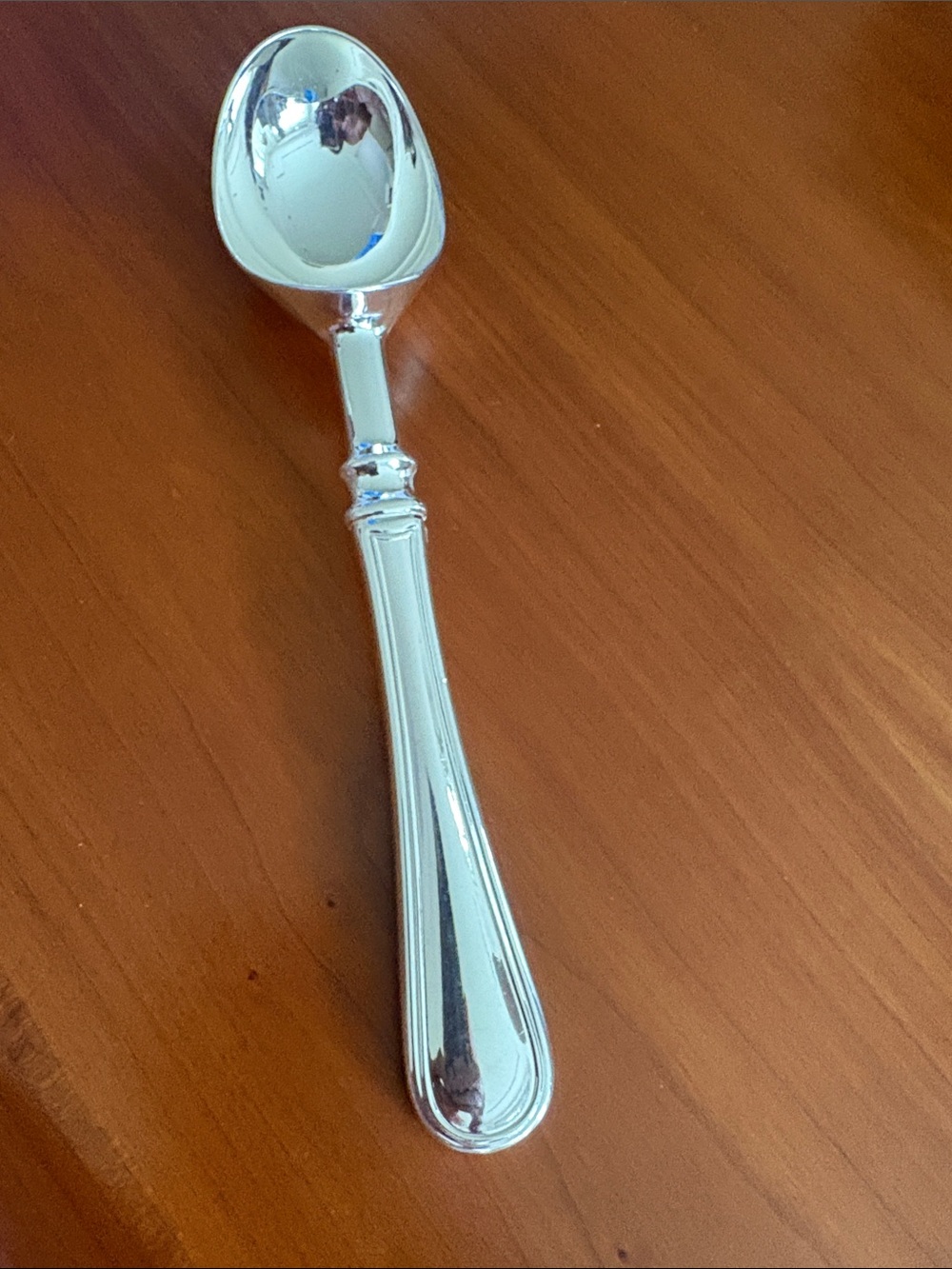 Silver plated NEW ice cream Serving scoop/spoon. Elegant beautiful serving spoon